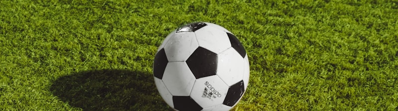 世界杯扑救集锦封面 - 守门员飞身扑救的瞬间